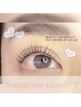 ホワイトカメリア 上本町店(White Camellia)/マツエクサロン/パリジェンヌ