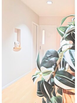 モナと雲と楽/前店舗