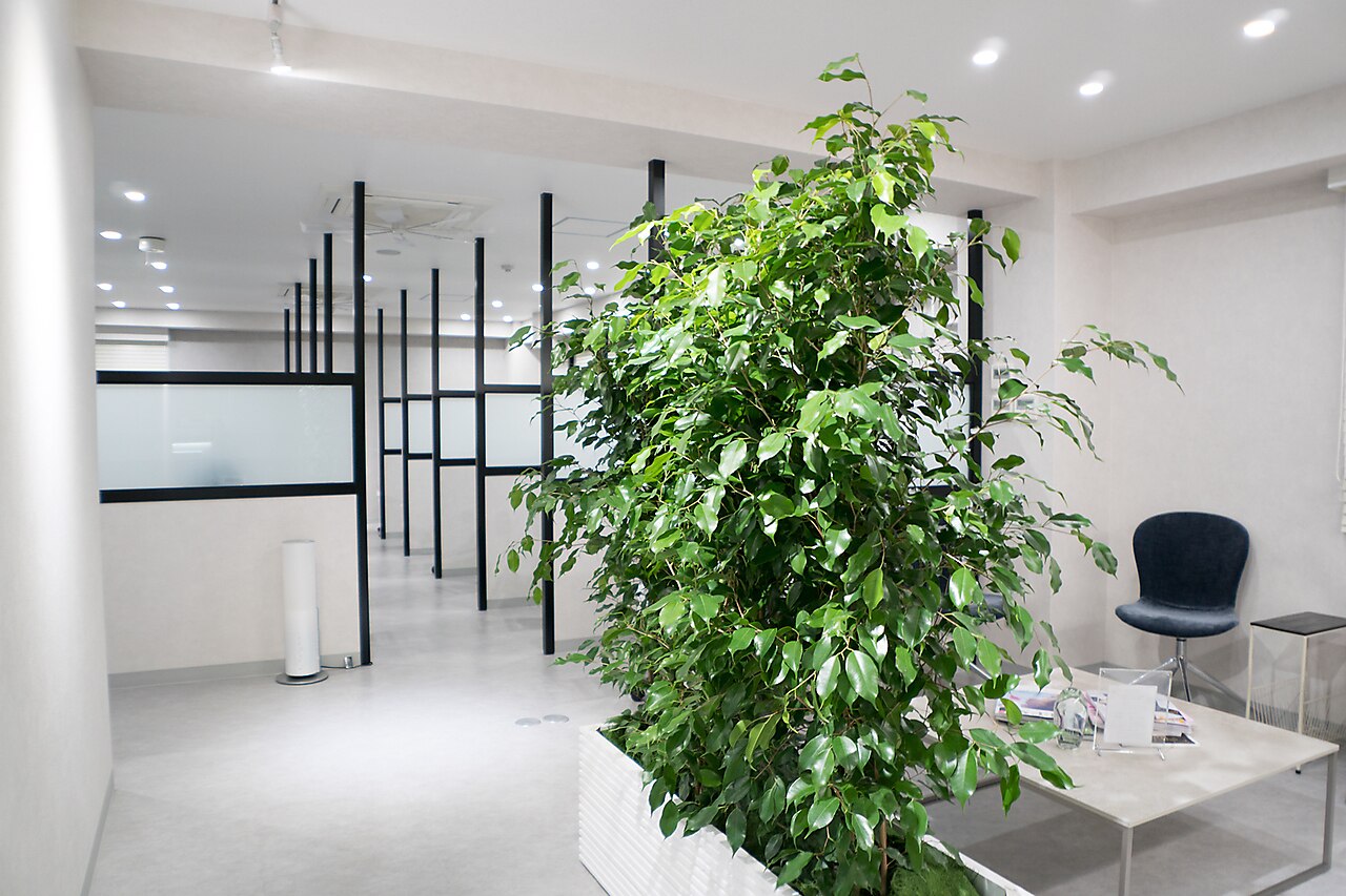 年版 新宿で3dマツエクがおすすめのまつげサロン10選 Beautify おすすめ美容室の口コミ ランキング情報