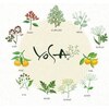 ヨサパーク バハリ(YOSA PARK Bahari)のお店ロゴ