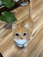 ボディ デザイン サポート 町田店(Body design support) 猫の置物やグッズがたくさんあります。可愛いので増えました。