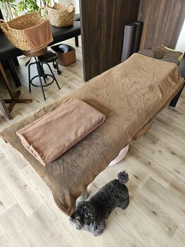 ほぐし屋 ほぐべえ/施術ベッド