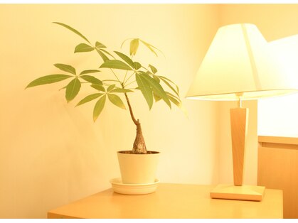 ナチュラルガーデン あまがさきキューズモール店(Natural Garden)の写真