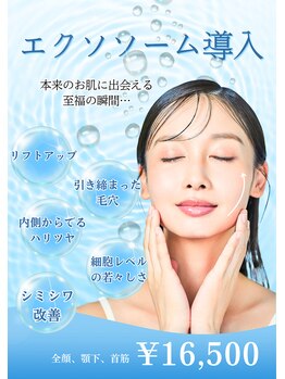 アモーラ(Amora)/エクソソーム