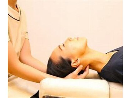 もみの木の写真