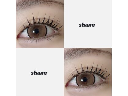 シェーン(shane)の写真