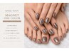 【hand & foot】ちゅるんマグネットワンカラー 100色以上あり