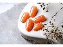 スティエルネ 自由が丘(Stjerne)/トレンド定額