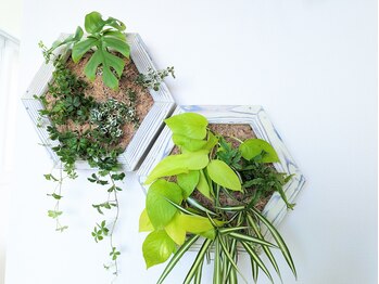 リリアン 長岡店(lirien)/店内