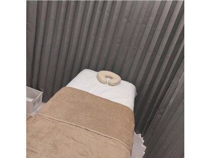 コットンローズ(Cotton Rose)の写真