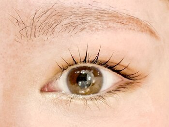 シェリー(Cherie)/ラッシュリフト