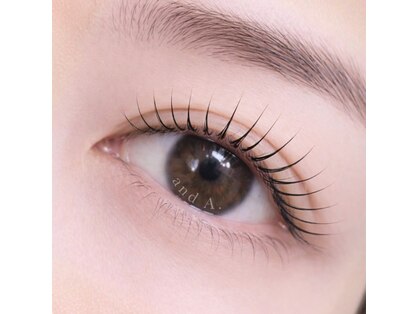 アンドエー(and A.)の写真