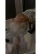 ンッフ(n.Fu)の写真/毎日頑張るアナタにご褒美を♪極上ヘッドスパで癒されながら、目・頭の疲れを解消しませんか?