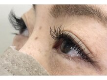 リーベ(Liebe)/フラットラッシュ140本