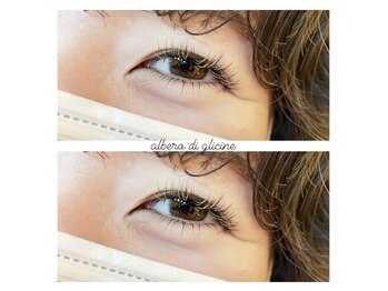 アルベロ ディ グリーチネ(albero di glicine)/gold x black mix