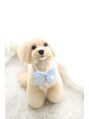 アンプリール 名古屋店(AMPLIR) 愛犬のローくん