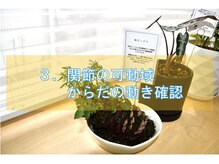 コウジュウドウプラス(耕揉堂Plus+)/３．関節可動域・体の動き確認