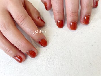 スワン 浜松駅前(SUWAN)/《ワンカラー》