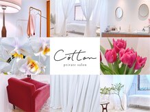コットン(cotton)