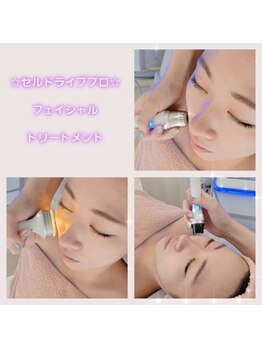 シャングリ ラ(Shangri La)/【セルドライブプロ☆フェイス】