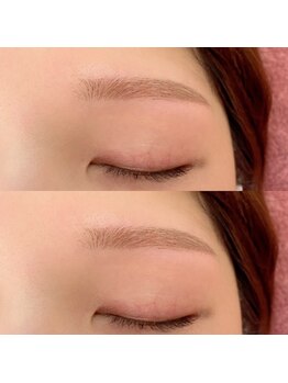 ベル アイラッシュ(Belle Eyelash)/アイブロウ