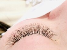 ランプリール アイラッシュサロン/3Dボリュームラッシュ120束