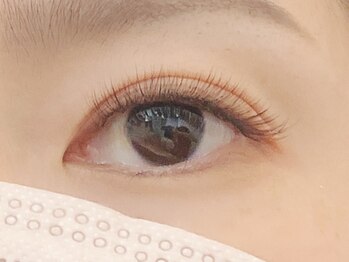 ペルシャ(Persian)/お客様デザイン【若葉/鶴ヶ島】