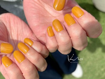 クレー(Klee)/美ワンカラー