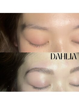 ダリア(Dahlia)/ハリウッドブロウリフト