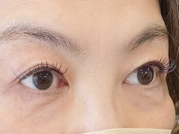 アイラッシュラボ イエロー(eyelash lab yellow)/