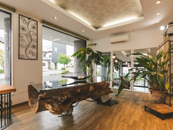 スプーンプラス アイラッシュ(spoon+eyelash)