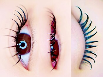 マロウ(mallow)/サンドラッシュ100束