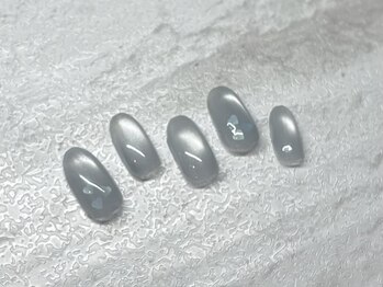 マグネット定額