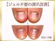 ステラルーテ(Stella lute)の写真