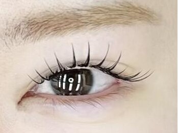 モイモイ(moi moi)の写真/【エクパーマ】まつエク×まつパの新メニュー！エクステでボリュームUP＆まつパでパッチリ上向きまつげに♪
