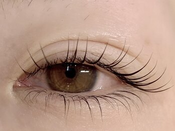 ダズル(DAZZLE)/パーマ上下