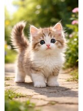 ソルシエール キレイ(ソルシエールkirei) *シェービ ニスト