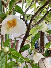 わたなべ整体院/