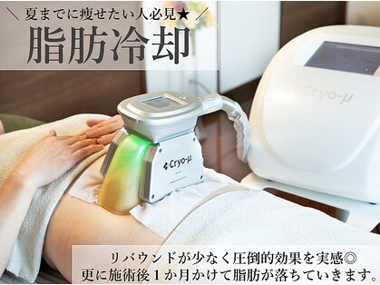 ソフィームの写真