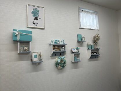 ロミ(Romi)の写真