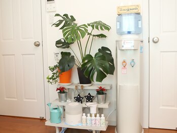 サロンド美ハッピー(Happy)/癒やしの緑☆