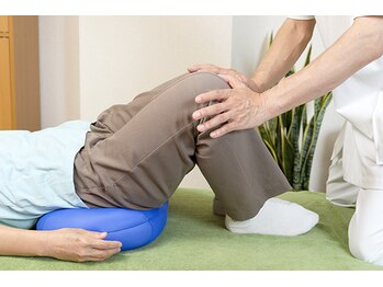 武蔵小杉優和/整体（腰の調整）