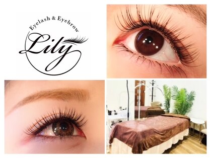 リリー(Lily)の写真