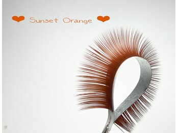 ハーゼ(Hase)/Sunset Orange【Flat color】
