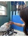ミヌレ 大阪店(minulle)&nbsp;小動物カフェにて。暇があれば動画で動物を見て癒される日々です