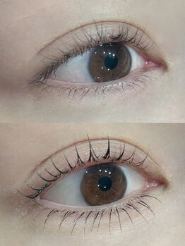 ステラ 恵比寿店(STELLA)/まつ毛パーマと下エクステ