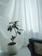 スヌープ(sunup)の写真/完全プライベートサロンで、人目を気にせず施術が受けられる。2人3脚でお悩み改善に努めます♪