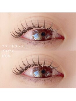 クラリスバイネオ 武蔵小杉(Claris by neo)/フラットラッシュ