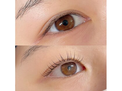 プリジュール(Pljoul)の写真