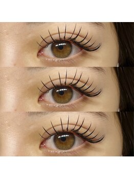 アイラッシュ ベイビーステップ(Eyelash Baby step)/フラットラッシュ160本